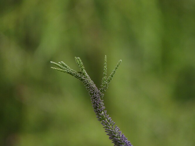 P1160925