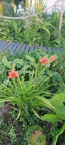 IMG_20230807_211806