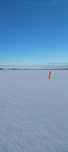 IMG_20260211_141925