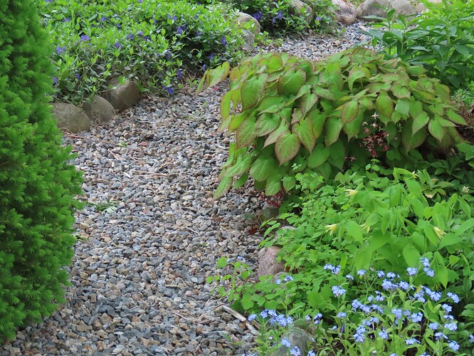 etupihan polun varrelta