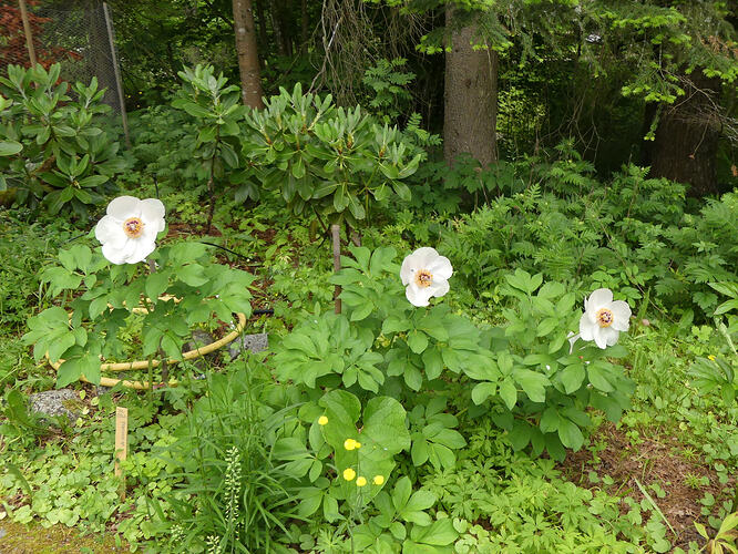 P1190189