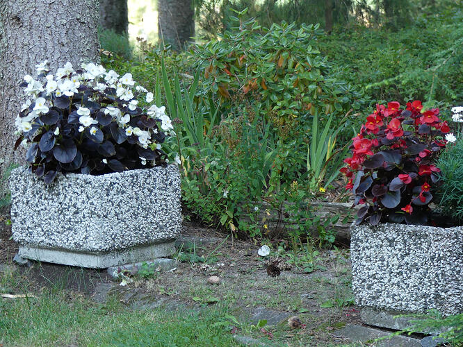 P1220587