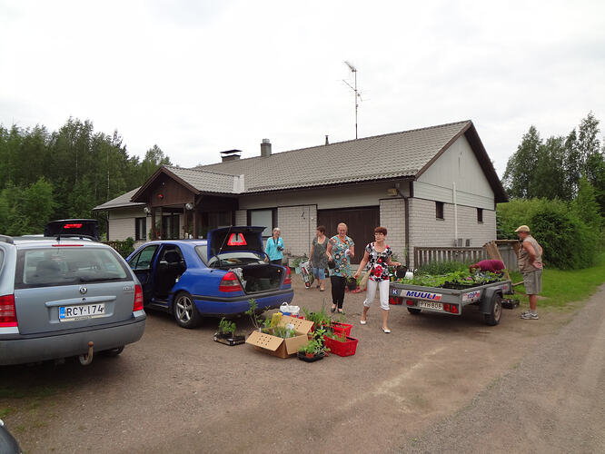 Kesäkuu 8 Taimivaihto 2