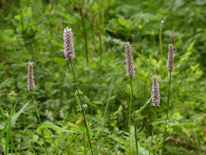 P1190255