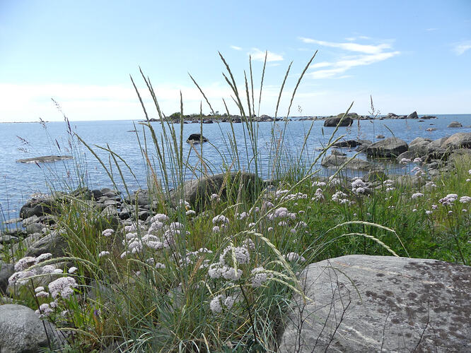 P1200914 – kopio