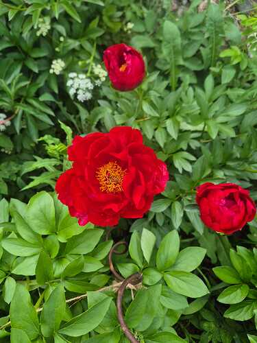IMG-20260614-WA0001