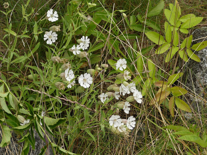 P1210151
