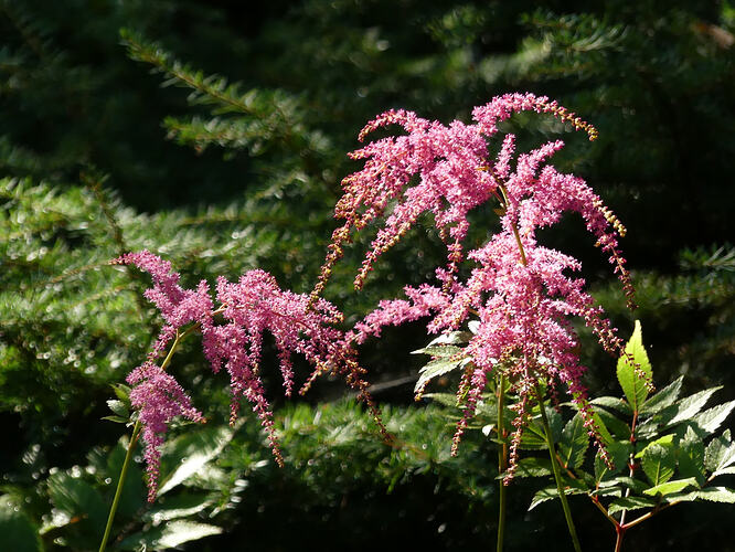 P1220187