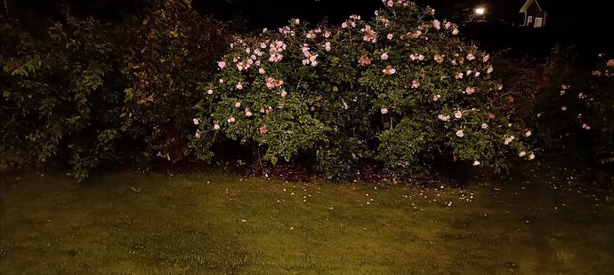 IMG20260909214547