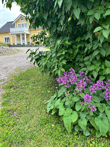 IMG_9369