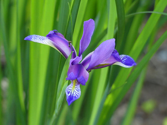 P1200147