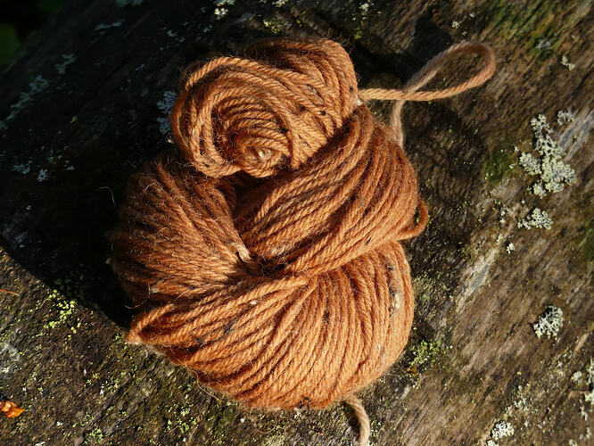 P1220576 – kopio