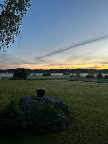 IMG_8755