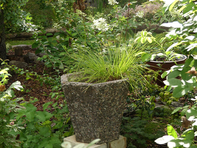 P1220536 – kopio