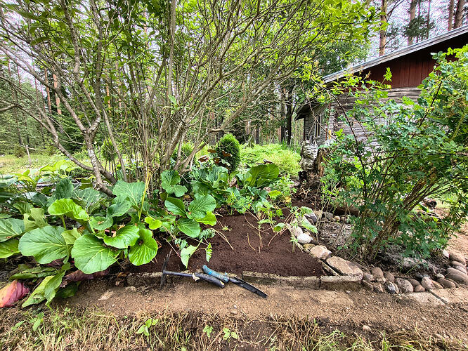 IMG_20260705_113859620_HDR