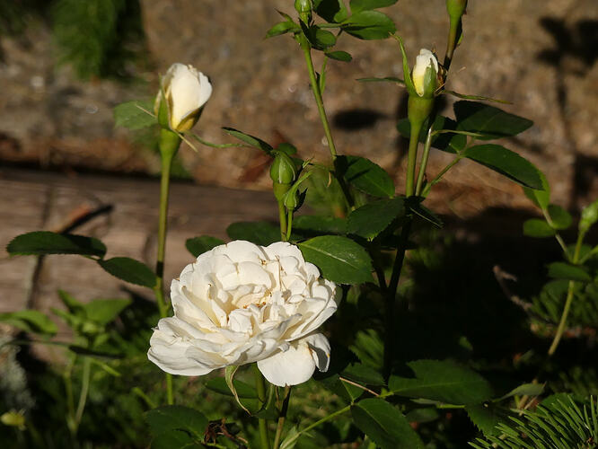 P1200760