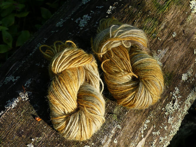 P1220575 – kopio