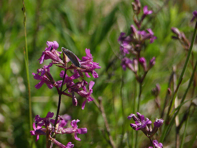 P1180978