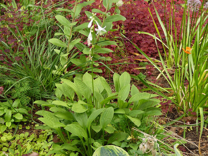 P1220427