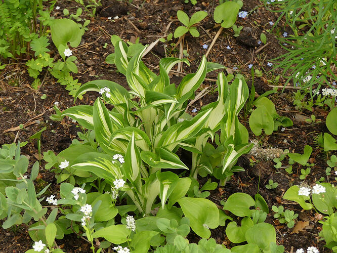 P1180796