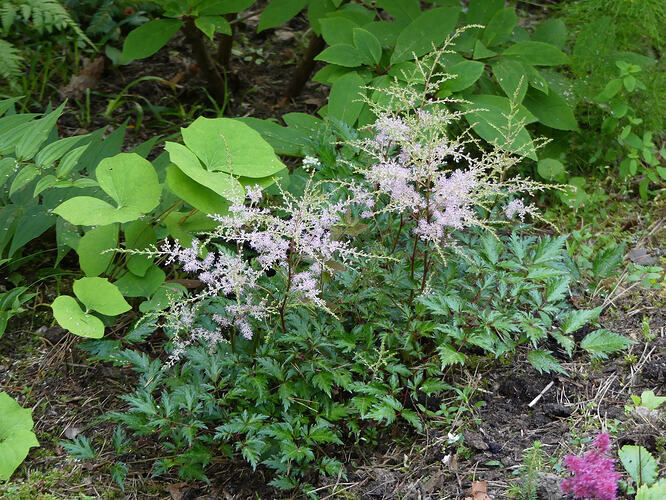 P1220341