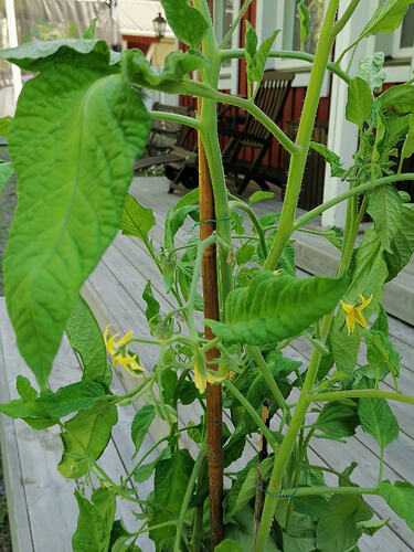 IMG_20260701_100656