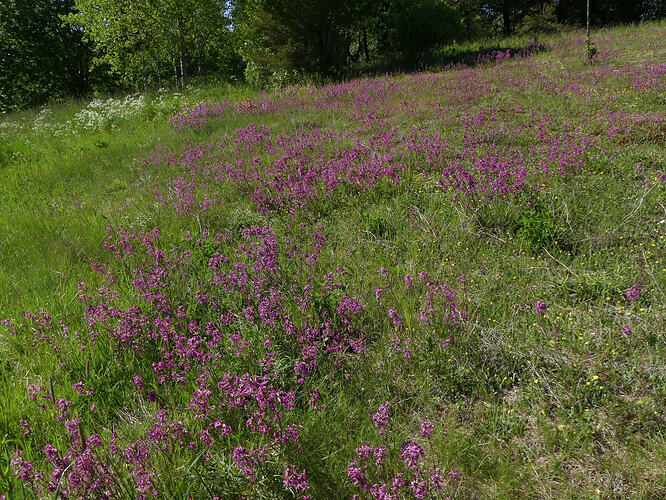 P1180974