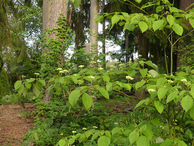 P1190481
