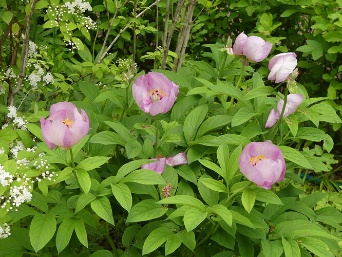 P1190204