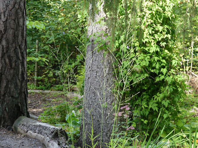 P1220479