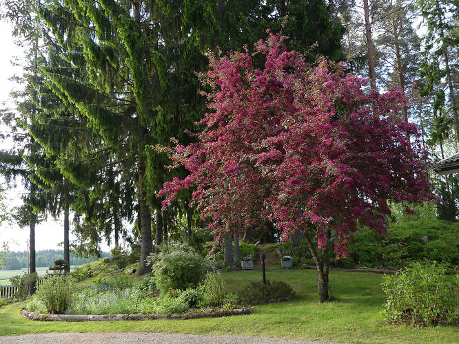 P1180637