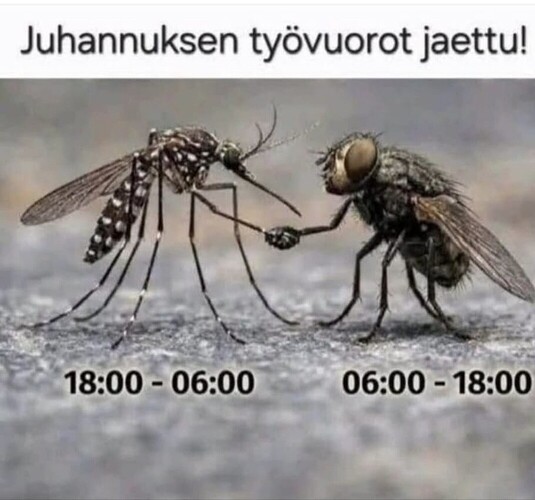 17818010653998675192057943992338