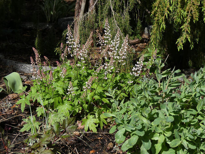 P1180654
