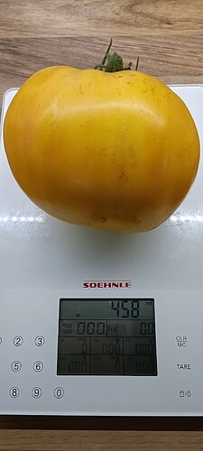 IMG20260727082737