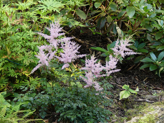 P1220340