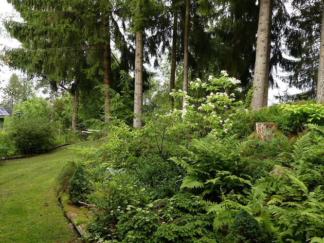 P1210899 – kopio
