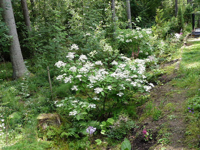 P1220221