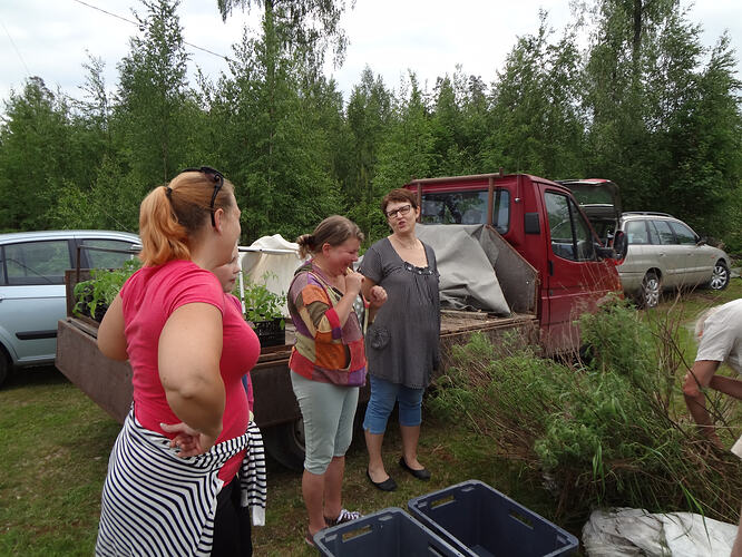 Kesäkuu 8 Taimivaihto 4 Aaprottimaruna