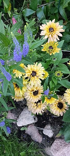 IMG20260806194000