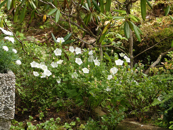 P1220261