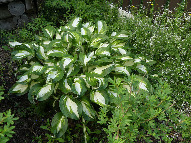 P1200587