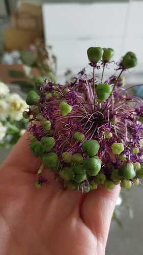 IMG-20260616-WA0000