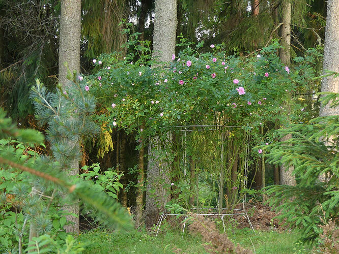 P1200721