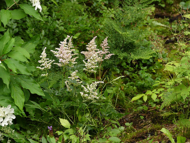 P1220054
