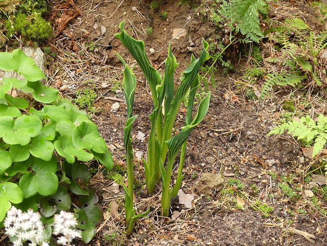 P1180807