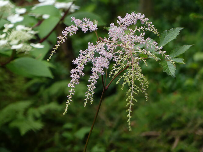 P1220030