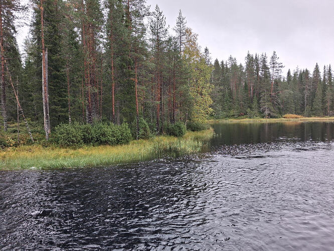 12223