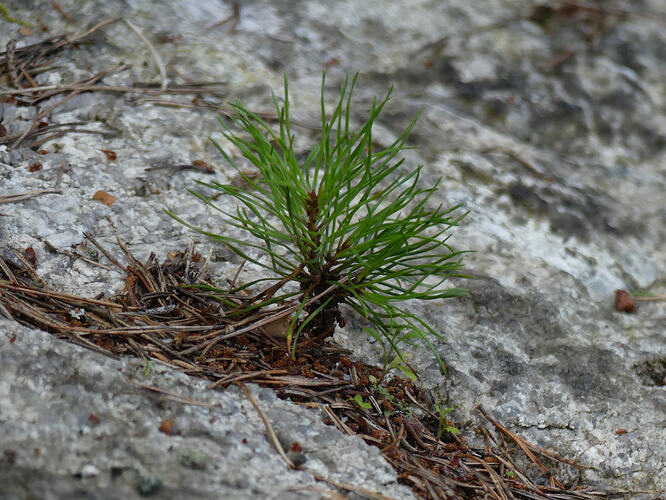 P1220296 – kopio