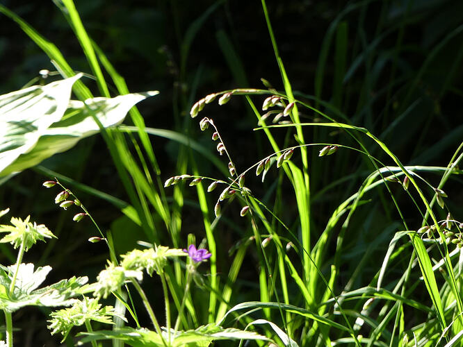 P1190011