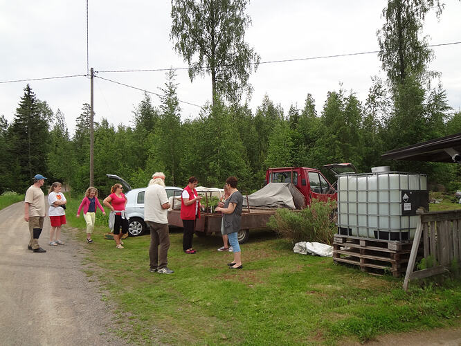 Kesäkuu 8 Taimivaihto 1